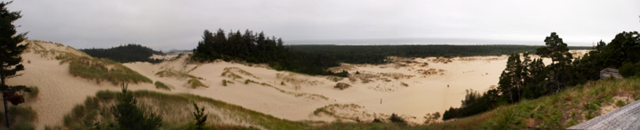 [Several photos stitched together and still not yet capturing the entire expanse of sandy dunes in this area. The dunes have patches of grass and evergreens upon them leading to the flat expanse of the Pacific Ocean on the horizon.]